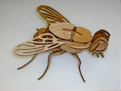 Lazer Kesim Ahşap Sinek 3D Puzzle Model Şablonu Ücretsiz Vektör CDR çizimi
