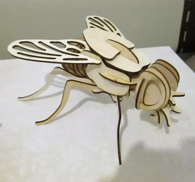 Lazer Kesim Sinek 3D Puzzle Ücretsiz Vektör CDR çizimi