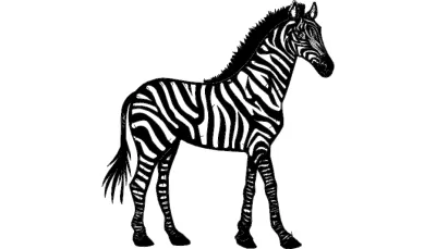 Zebra dxf Dosyası DXF çizimi