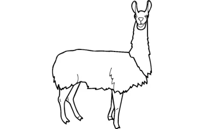 Lama dxf Dosyası DXF çizimi