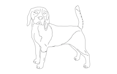 Beagle için iyi dxf dosyası DXF çizimi