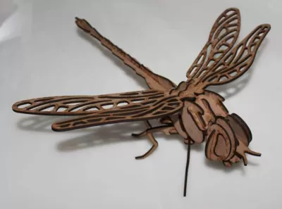 Yusufçuk (dragonfly) dxf Dosyası DXF çizimi