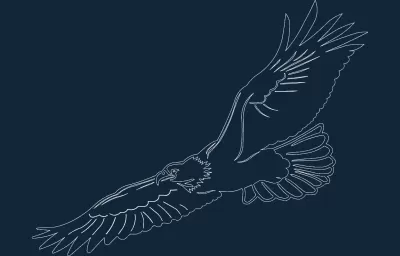 EAGLE2 - 1.DXF DXF çizimi
