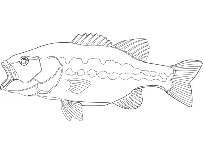 Peixe dxf Dosyası DXF çizimi