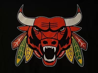 Chicago Bulls ve Chicago Blackhawks dxf dosyası DXF çizimi