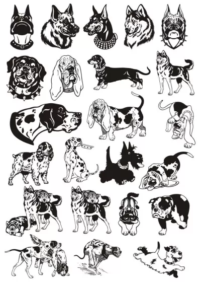 Köpekler Vektör Çizim Paketi Ücretsiz Vektör CDR çizimi