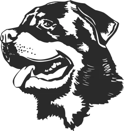 Rottweiler Köpeği Kafası Siyah Beyaz Vektör dxf Dosyası DXF çizimi
