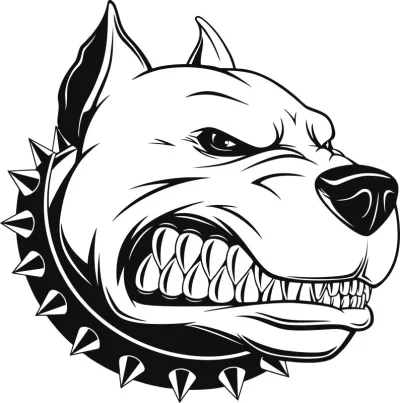 Pitbull Kafası Ücretsiz Vektör CDR çizimi