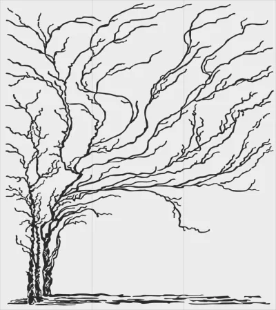 Ücretsiz Cam Oymacılığı Deseni Ücretsiz Vektör CDR çizimi